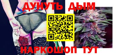 гидра Кузнецк