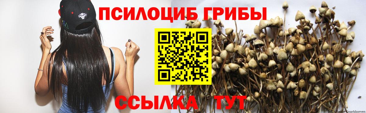 Лянтор  Галлюциногенные грибы Psilocybe  Галлюциногенные грибы Magic Shrooms  Вход с VPN 